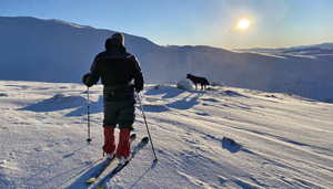 pictures from norway_micke larson