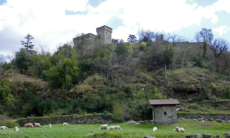montetrutto