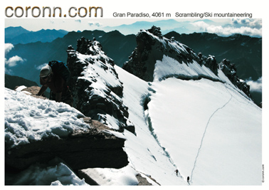 coronn.com topos grand paradiso